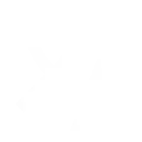 Cambiar idioma